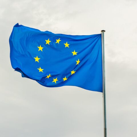 eu flag swaying with the wind